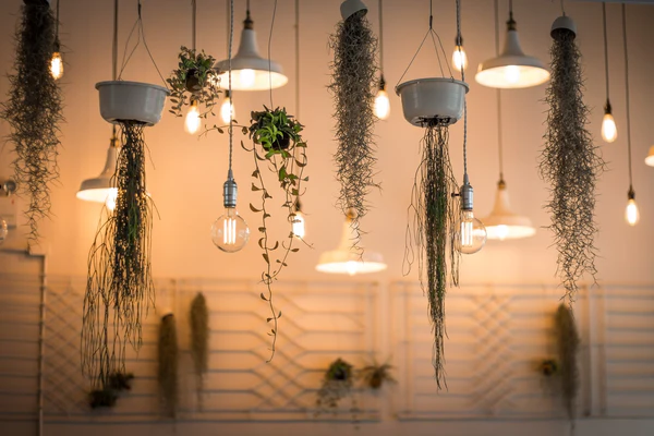 Outdoor Spaces